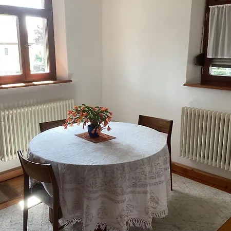 Haus Birk Apartment *